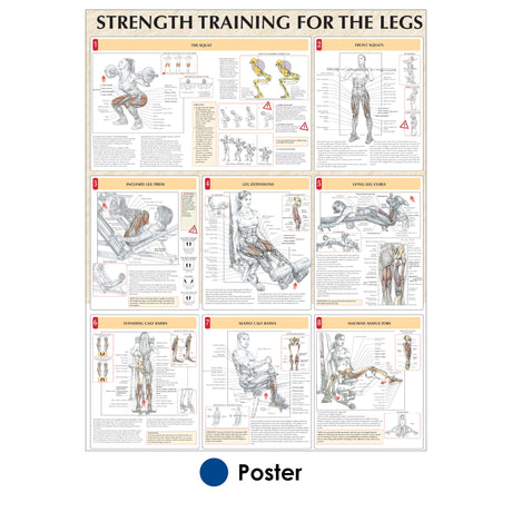 Back Workout Poster - Clinical Charts and Supplies