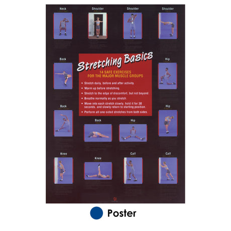 Stretching Poster: Upper Body – Human Kinetics Canada