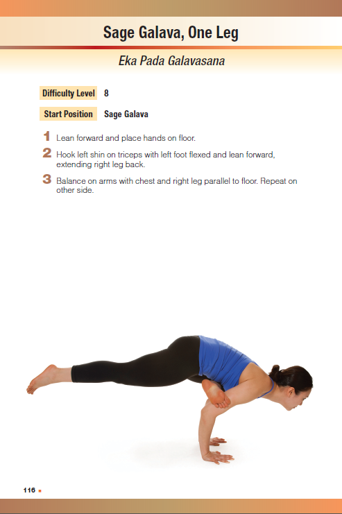 24 Standing Hatha Yoga Poses: Printable Yoga Poses Poster. Instant  Download, Digital Yoga Print, Sanskrit Asana, A4, Letter, PDF -  Canada