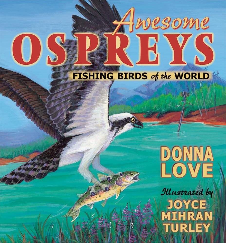 Птицы рыбы предложение. Osprey для рыбалки. Osprey Fish riding. (BAOR! Bird! Fish! _Mole?).