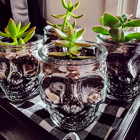 skull planters