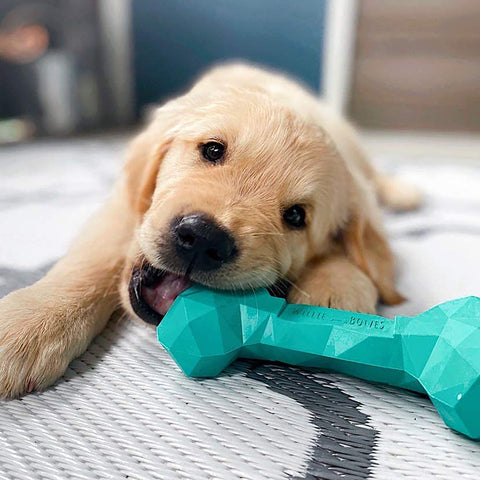 plush toys for extreme chewers