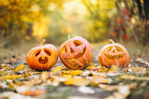 Comprar bolsas de hojas de calabaza para Halloween