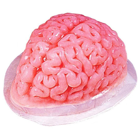 Molde de gelatina de cerebro de plástico