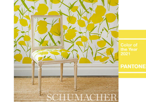 lemonade Schumacher wallpaper