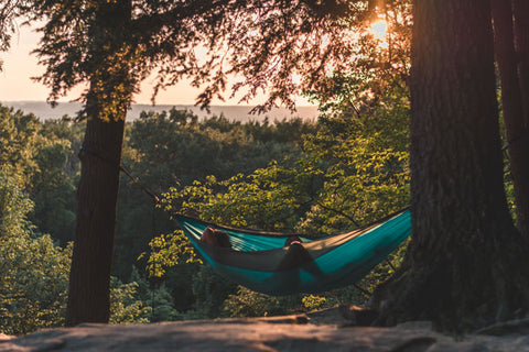 hammock