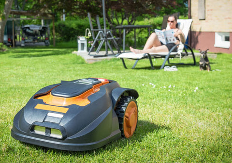 lawn mower robot