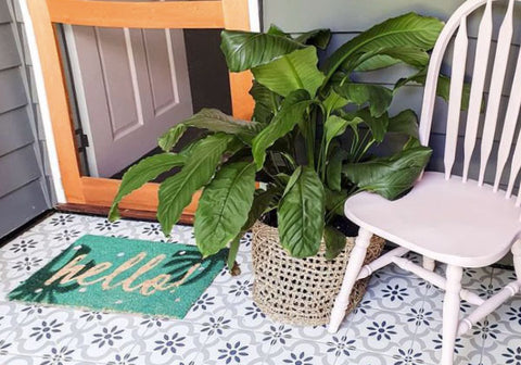 porch rug and chair