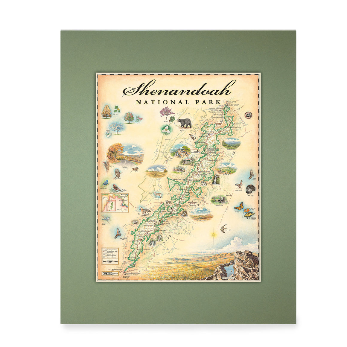Shenandoah National Park Map Art Prints Posters Puzzles Xplorer Maps