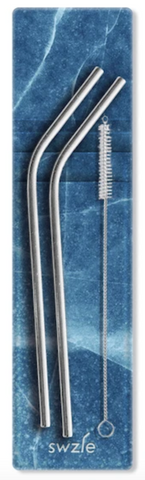 Reusable SWZLE Straw with case