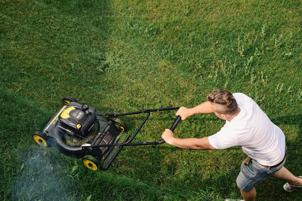 Understanding Basic Lawn Care Tools