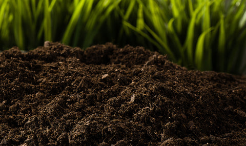 Close-up of dark rich soil, with bright green grass out of focus in the background