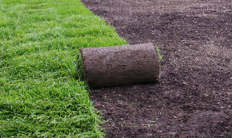 Exposed dark soil with rolls of sod being laid