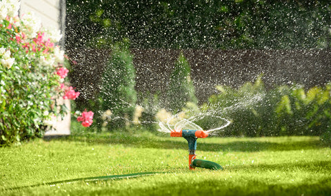 Sprinkler spraying water all over a lawn during the day