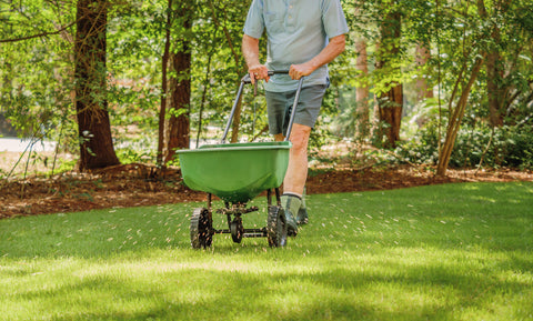 Photograph of man seeding his lawn using a spreader