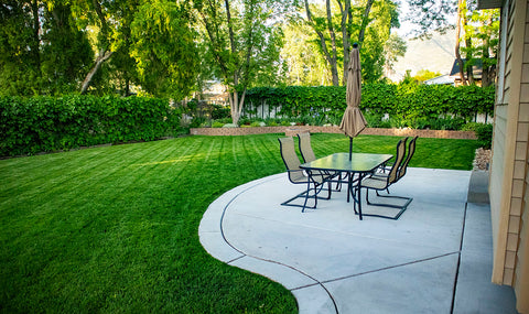 bright green backyard lawn with pavement and lawn chairs