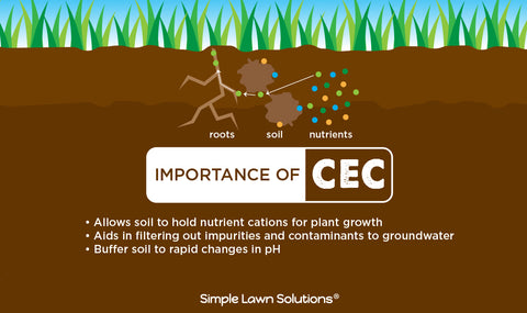 Infographic for cation exchange capacity