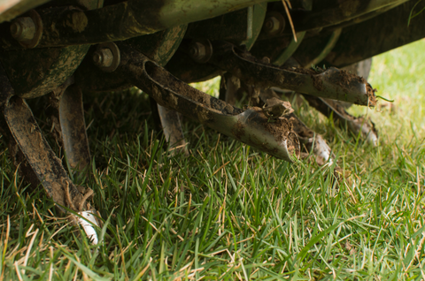 Close-up photo of a core aerator removing plugs from lawn