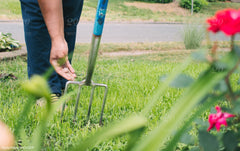 Person spreading seeds on lawn