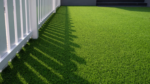 Green lawn.