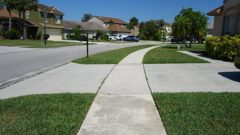 Green grass in a neighborhood.