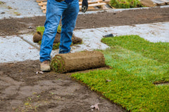 adult laying sod in jeans