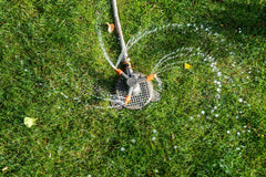 Top View of Sprinkler Watering Lawn 