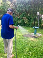 Older person wearing blue shirt watering area of grass they just seeded in front of bird bath