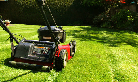 red lawn mower mowing an uneven lawn