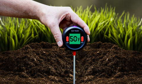 Measuring soil temperatures with a soil thermometer that reads 50 degrees in a lawn