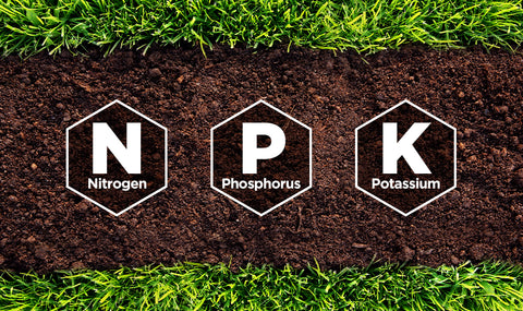 Nitrogen, Phosphorus, and Potassium