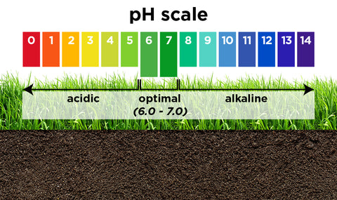 Infographic displaying the pH scale for lawns