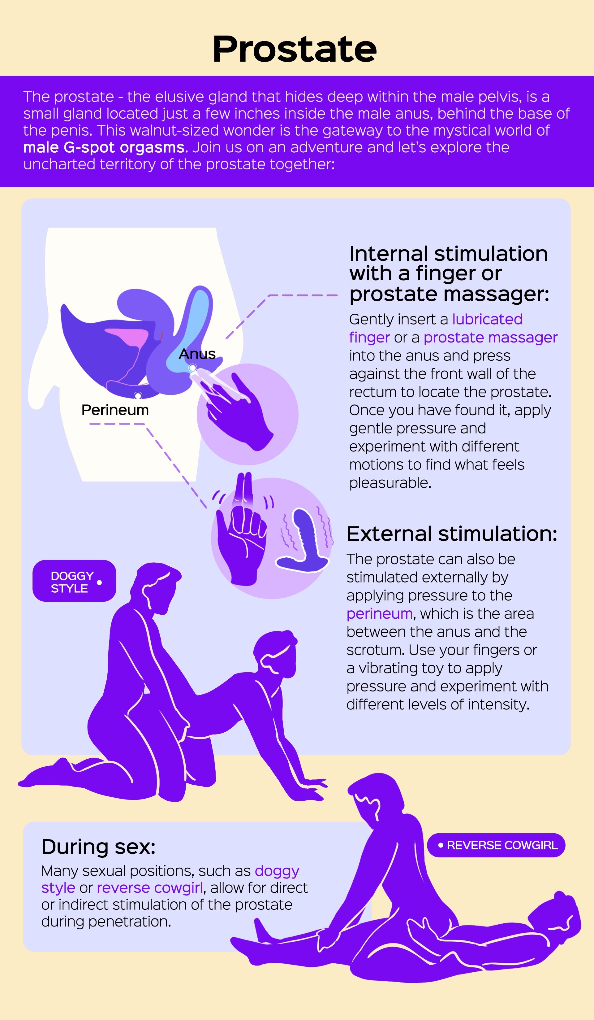 sensitive spots on the male body- prostate 3