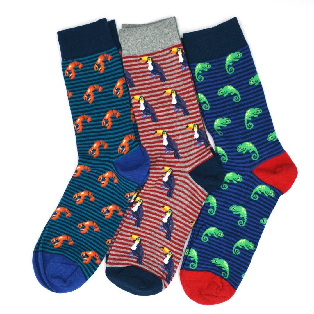 Men's Socks | Fun and Stylish - Art of The Gentleman