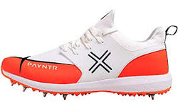 payntr rubber cricket shoes