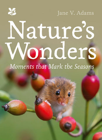 Book cover of Nature's Wonders