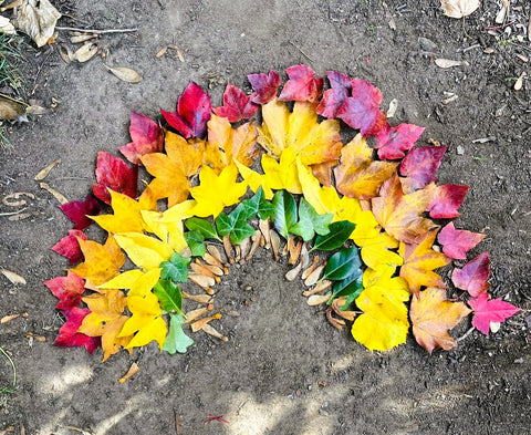 Rainbow of Autumn leaves