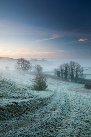 Image shows frost over fields