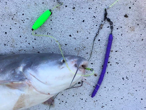 Catfish Pro Crawdad Catfish Bait for Fishing Catches Blue, Channel
