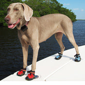 Dog Non Slip Shoes