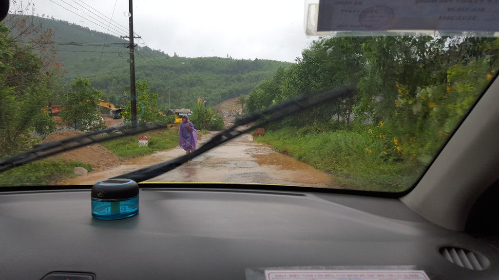 Driving through tropical storm Vamco