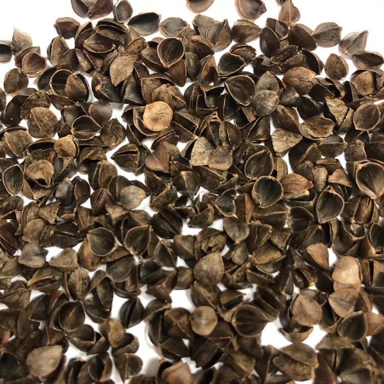 Buckwheat Hulls vs. Millet Hulls – PineTales®