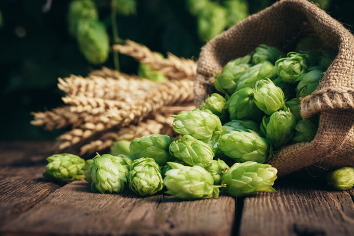 hops as ingredient in sleep aids