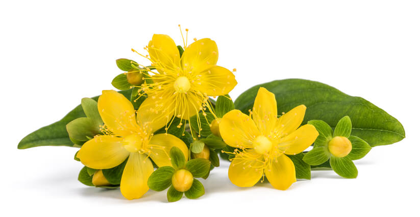 st. johns wort as ingredient in sleep aids