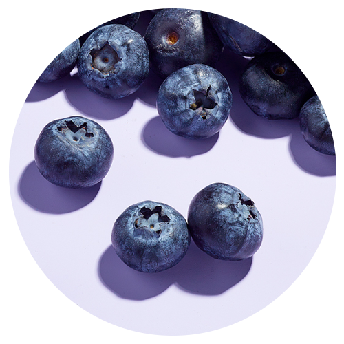 Upcycled Blueberry Seed Oil image