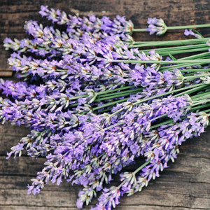 Chamomile + Lavender image