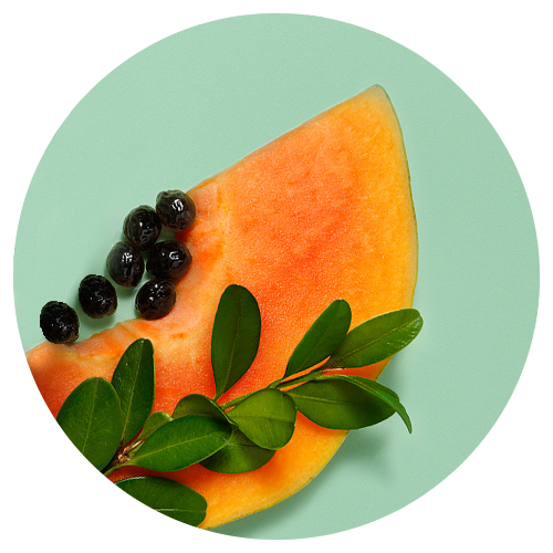 Moringa + Papaya
 image