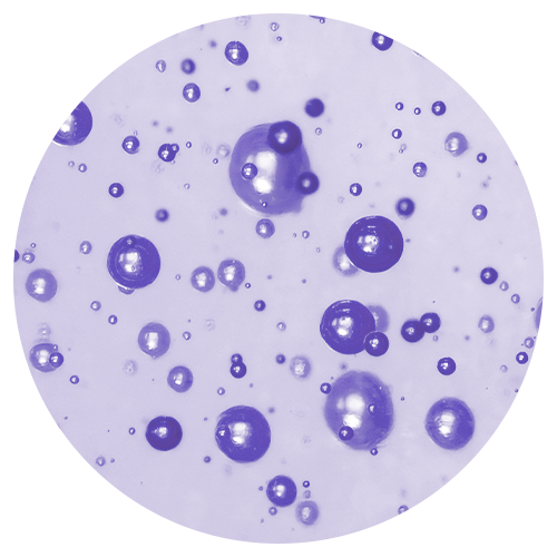 10% Niacinamide (Vitamin B3) image