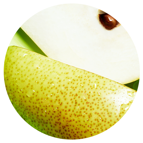 Upcycled Pear Seed Extract image