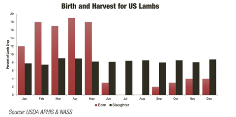 lamb sales in the united states